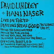 Rag Bag by David Lindley