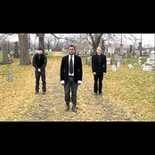 Dead Christmas Trees