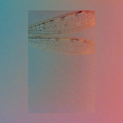 Laura Luna - Isolarios