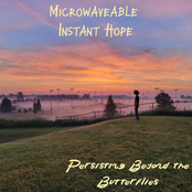 Persisting Beyond the Butterflies