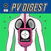 PV Digest #6: Winter 2017