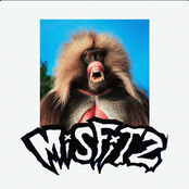 MISFITZ
