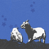 LONG WAY FROM PERFECT