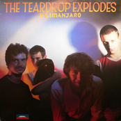 Ha Ha I'm Drowning by The Teardrop Explodes