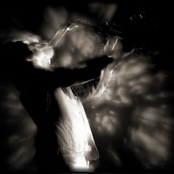 Fredrik Lundin 25th Year Anniversary Concert