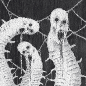 Carcinoid / Charnel Altar Split