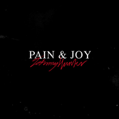 Pain & Joy