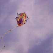 Kite