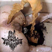 Split with Anal Penetration