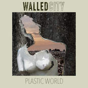Plastic World
