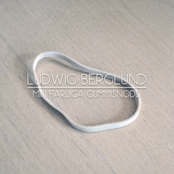 Min Farliga Gummisnodd