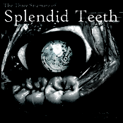 splendid teeth