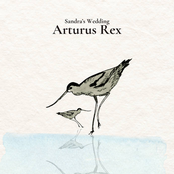 Arturus Rex