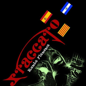 STACCATO RUMBA FLAMENCA