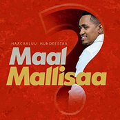 Maal Mallisaa