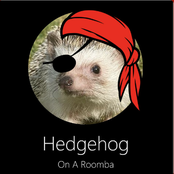 Hedgehog on a Roomba