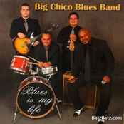 Blues is My Life