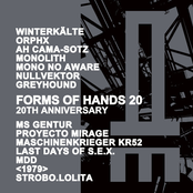 Forms Of Hands 20