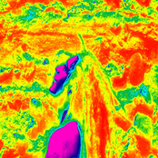 Persistencia Reggae (Single 2006)