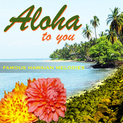 Aloha To You