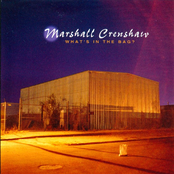 Alone In A Room by Marshall Crenshaw