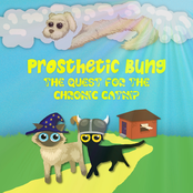 The Quest for the Chronic Catnip