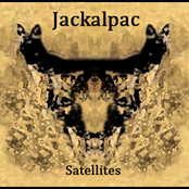 Satellites
