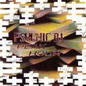 How Does E Feel? by Psychic Tv