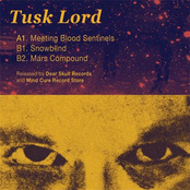 Meeting Blood Sentinels