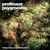 professor psygrooves