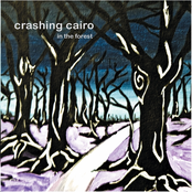 Crashing Cairo: In the Forest