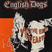 Survival Of The Fittest by English Dogs