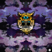 Common Creation: Somber Science