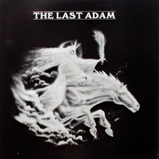 The Last Adam
