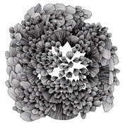 oh, deer! / hurtovyna / la belle verte [split]