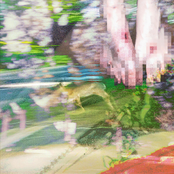 Stop Me If You've Heard This Before - Single