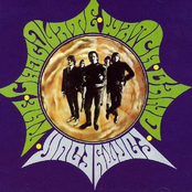 The Chocolate Watchband: 44