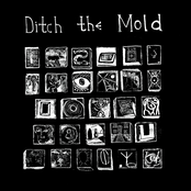 Ditch the Mold