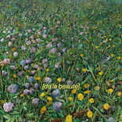 Même l'impossible fleurit