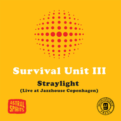 Straylight (Live at Jazzhouse Copenhagen)