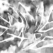 Selected White Tapes, Vol. 1