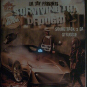 Surviving Tha Drought (Soundtrack 2 Da Struggle)