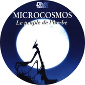 Microcosmos