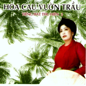 Hoa cau vườn trầu