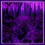 the mathgrind revival split