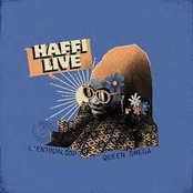 Haffi Live