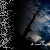 Tussen Werelden / Gedachten