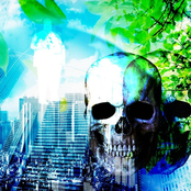 BLINDINGLY ALTERNATE FUTURES AND THE LONG ANTICIPATED MURDER/SUICIDE OF FRUTIGER AERO