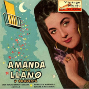 Amanda Del Llano