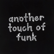 Another Touch Of Funk